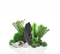biOrb Stone Garden Conjunto de plantas decorativas para acuarios de 30 litros