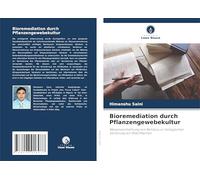 Bioremediation durch Pflanzengewebekultur: Massenvermehrung von Bambus zur biologischen Sanierung von Brachflächen
