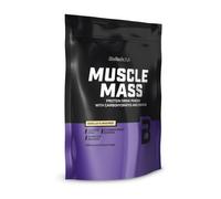 BioTech USA Muscle Mass Vainilla 1000g