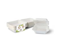 BIOZOYG Caja de hamburguesa de caña de azúcar con tapa contigua I 50 piezas embalaje de bocadillos compostable de bagazo - biodegradable I caja de menú de patatas fritas cuadrada I almuerzo to go 22 x