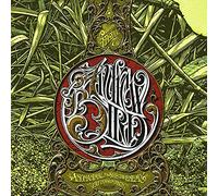 Bird, Andrew - Anonanimal/See the Enemy [Vinilo]