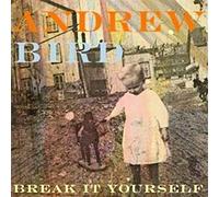 Bird, Andrew - Break It Yourself