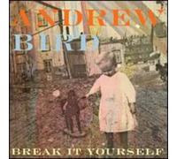 Bird, Andrew - Break It Yourself-CD+DVD-
