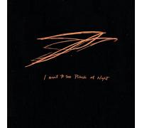 Bird, Andrew - I Want to See Pulaski..