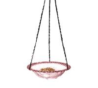Bird Bath Feeder - Bird Bath | Heavy-Duty Decorative Water Station Robust Metal Water Collecting Station Decorative for Balcony Deck Patio Apartment Window Wildlife Animal Photography