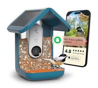 Bird Buddy - Alimentador de pájaros Inteligente Original con cámara de energía Solar, cámara AI de Alta resolución para Hermosas Fotos cercanas y una Experiencia única