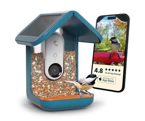 Bird Buddy Smart Bird Pro Comedero Inteligente para pájaros con panel solar - BBG1003BAD