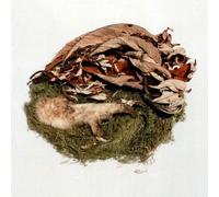 Bird By Snow - Offering [VINYL] [Vinilo]