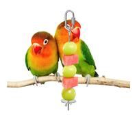 Bird Cage Food Skewer - Stainless Fruit Stick Holder for Easy Feeding | Durable Metal Rod with Secure Hooks, Foraging Accessory for Parakeet Macaw Cockatiel Conure Finch Lovebird Cage Use