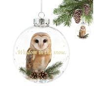 Bird Christmas Ornament - 8x8cm Pendant Ball Decor, Festive Christmas Balls for Tree, Tabletop, Window, Kitchen, Bedroom, Living Room and Home Holiday Decoration, Cute Birds Hanging Decor