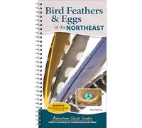 Plumas y huevos del Noreste – Identifica 40 especies de aves de jardín (Adventure Quick Guides)