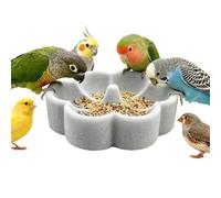 Bird Feeder Bowl Flower Shape Pumice - Feeding Watering Station Ground Bird