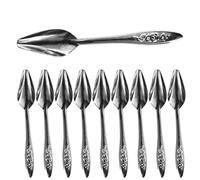 Bird Feeding Spoons, Parrot Feeding Scoops, 10 Pieces Stainless Steel Animal Milk Feeder Tools, Lightweight for Peonies, Budgerigars, Cockatiels, and Conures, 12 cm Silver