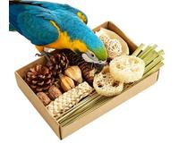 Bird Foraging Box - Bird Foraging Chewing Shredding Enrichment Box Toys