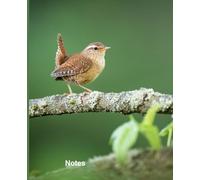 Bird Journal for Bird Watching: Composition Notebook College Rule/Bird Watching Log Book