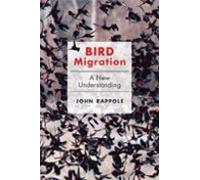 Bird Migration