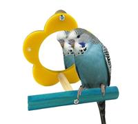 Bird Mirror for Cage, Interactive Parrot Toy, Chewing Flower Shape Stand, 3.94x3.15x3.94 Inches Engaging Pet Supply, Enrichment Cockatiel Cage Accessory for Mental Stimulation