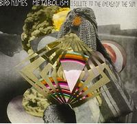 Bird Names - Metabolism:a Saluteto The Ener