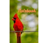 Bird Notebook: A soft-lined journal for writing, reflection, or everyday thoughts - 6x9 inches - 100 pages