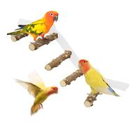 Bird Perch - Colorful Wood Acrylic Bird Cage Perch, Suction Cup Conure Climbing Ramp, Space-Saving Indoor Outdoor Mount, Parakeet Cockatiel | Wall Window Cage Accessory Anti-Drop
