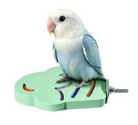 Bird Perch - Paw Grinding Roosting Toy, 5.12x3.54x0.39 Inches Textured Flat Stand with Resin Design, Bird Cage Accessory, Parrot Grooming Platforms, Training Perch for Budgies Parakeets Cockatiels
