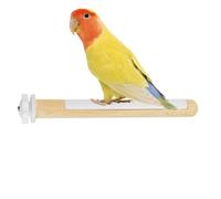Bird Perch Pole Stand, Parrot Branch Toy, Grinding Climbing Perch, Multifunctional Design, Stable Fork Base, Natural Texture, for Cockatiels, Lovebirds, Finches, 20cm/7.87 Inches