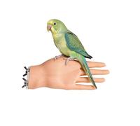 Bird Perch - Realistic Hand Desensitization, Step Up Training Stand Birds | Bird Training Perch - Gentle Step Up Practice for Pet Birds | Realistic Hand Stand, Desensitization Aid for Handling Interact