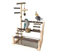 Bird Perch Stand, Stand Playground, Interactive Parakeet Holder, Parrot Play Gym, Multi-Perch Design, Engaging Gym Activities for Parakeets and Small Birds' Ejercise and Playtime