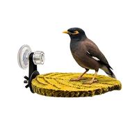 Bird Perch Stand, Suction Cup Resting Tray, 5 Inch Parrot Perch Holder, for Conure Parrot Parakeet Cockatiel Cockatoo Canary Finch Cage Use, Bird Resting, Cage Comfort Perch's Accessory
