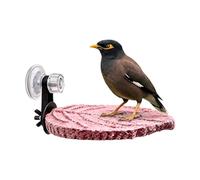 Bird Perch Stand, Suction Cup Tray, 5.31x3.74 Inches Compact Tray with Sturdy Build, Reliable Resting Accessory, Modern Aviary Tool with Sleek Style, Outdoor Seat for Parrot and Cockatiel