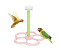 Bird Perch - Windmill Sensory Toy for Birds Cage Window | Rotating Play Enrichment Stand for Parakeets, Budgies, Finches, Cockatiel, Conure, Macaws | Indoor Interactive Bird Exercise