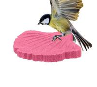 Bird Perches for Cage - Lovebirds Chewing - Parakeet Nail File Stick - for Macaw Pet Parents Animal Lovers Trainers Shelters Zoo Aviaries Study Living Room Bedroom Home Office