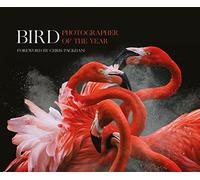 Bird Photographer of the Year: Collection 3