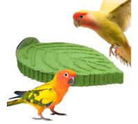 Bird Rest Perch, Resin Branch Stand System, Anti Slip Claw Care Tool, Natural Shape Cage Accessory Set, Sturdy Compact Beak Grinding Design Style, Parakeet Aviary Use
