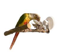 Bird Shower Perch, Suction Cup Window Mount Bath Perch with Poop Tray