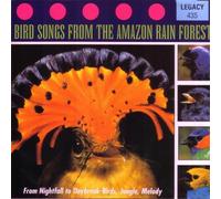 Bird Songs of Amazon Rainforest