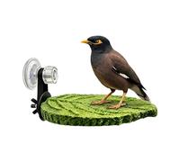 Bird Suction Perch, Window Mount Resting Stand, Parrot Conure Cage Activity, Parakeet Cockatiel Cockatoo Play Perch Holder, Indoor Bird Viewing Seat 13.5x9.5cm 5.31x3.74 Inches