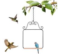 Bird Swing Outdoor | Metal Frame Bird Perch with Chain | Decorative Humming