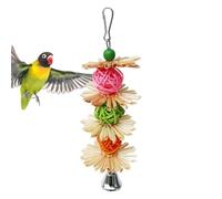 Bird Toy Hammock - Bird Parrot Chewing Toy | Birdd Chew Toys | Multicolored Wooden Blocks Tear Toys Best Birds Toyy for African Grey Parrot with Metal Hook