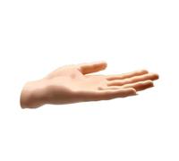 Bird Training Perch, Handheld Step Up Stand For Parakeets Cockatiels Home | Realistic Hand Shape Supports Step Up Practice And Gentle Desensitization For Finches Lovebirds Cockatiels Parakeets Mynahs