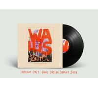 Bird, Wallis - I Can See Your House from Here (Vinyl) [Vinilo]