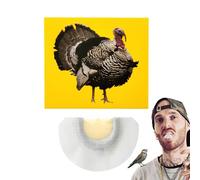 Bird Whistles Noise Maker - Funny Bird Whistle Toys Noise Makers, Novel Bright Colors Noisemaker Toys, Creative Fun Unique Noisee Makers For Birthday April, Fool's Day, Celebrations