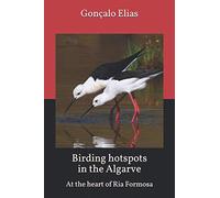 Birding hotspots in the Algarve: At the heart of Ria Formosa: 4