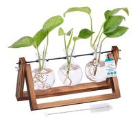 BIRDROCK HOME Estación de propagación de plantas | Jarrón de 3 bulbos con terrario de soporte de madera | Gran idea de regalo para el hogar, oficina, jardín, plantas hidropónicas