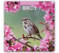 Birds 2026 Square Wall Calendar: Original Red Robin Publishing Ltd-Kalender [Mehrsprachig] [Kalender]