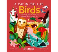 Birds (A Day in the Life): What Do Flamingos, Owls, and Penguins Get Up To All Day?