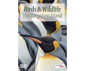 Birds And Wildlife: The Forgotten Island [DVD] [Reino Unido]