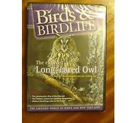 Birds & Birdlife - The elusive Long-eared Owl.