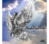 BIRDS EYE VIEW