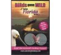 Birds Gone Wild: Spring Florida Break